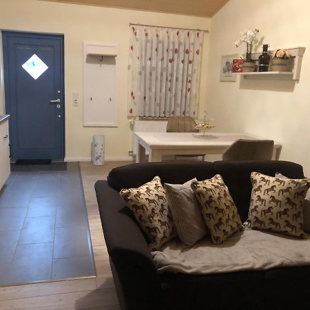 Ferienapartments Reitanlage Schenksolz Schenklengsfeld Dış mekan fotoğraf