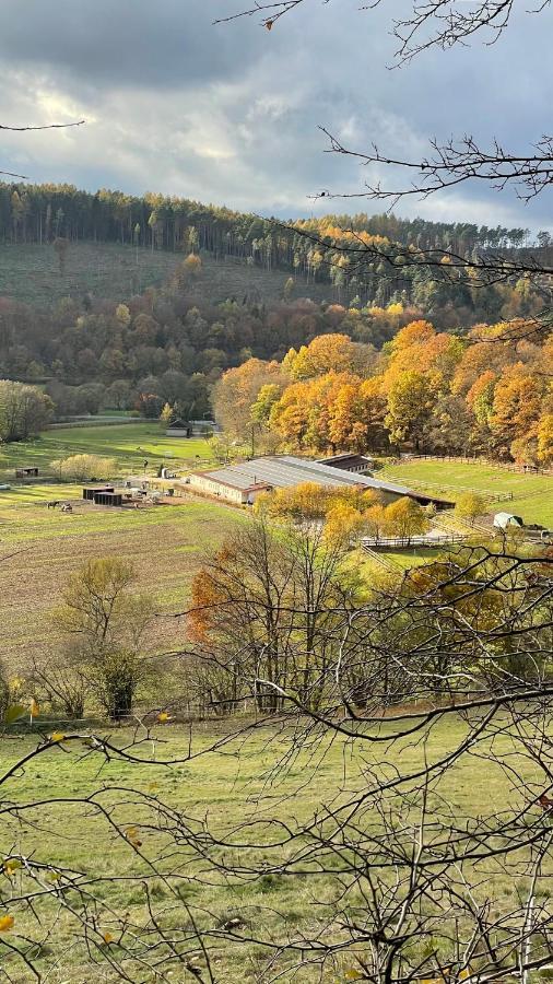 Ferienapartments Reitanlage Schenksolz Schenklengsfeld Dış mekan fotoğraf